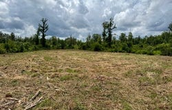 00 Dewitt Lane, Other, LA 70427
