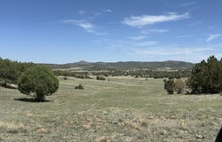 124 Dry Gulch, Seligman, AZ 86337