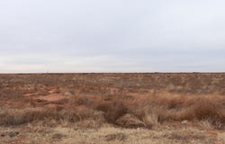 0 N 385 Highway, Whitharral, TX 79380