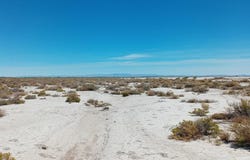 APN # 007-091-60, Fallon, NV 89406