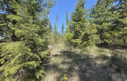 Xxx Burnt Valley Rd, Chewelah, WA 99109