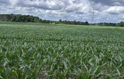 02 LIBERTY DRIVE, Wittenberg, WI 54499