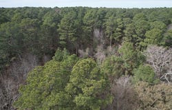 Tbd County Road 3156, Henderson, TX 75654