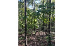Tract 5 SE 1083  Road Ave, Red Oak, OK 74563