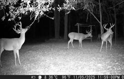 0 County Road 72, Ariton, AL 36311