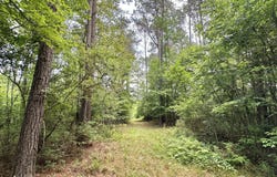 2 Highway 483, Morton, MS 39117