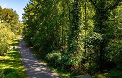 113 Jessamine Drive, Central, SC 29630