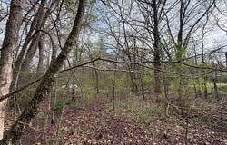 3rd St, Prescott, AR 71857