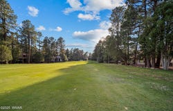 3231 W Old Linden Road, Show Low, AZ 85901