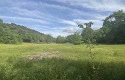 Tract 3 Jaymeson RD, Oden, AR 71961