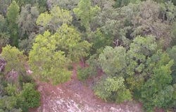9796 N Feigel Ter, Crystal River, FL 34428