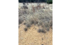 Tbd Lot 945 Feather Bay Drive, Brownwood, TX 76801