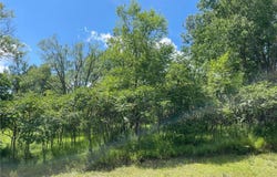 Tbd River Street, Pillager, MN 56473