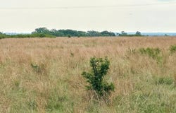 Cherokee Area, Cherokee, OK 73728