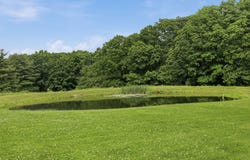 1928 Ridge Rd., Lockwood, NY 14859