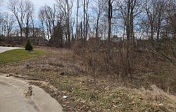 111 Beech Drive, Edgewood, KY 41017