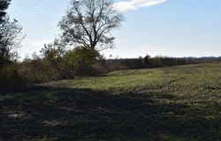 River Road, Crumrod, AR 72328