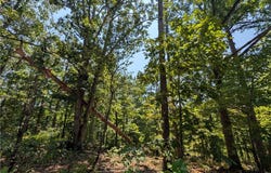 Canyon Village Road lot: 1, Rogers, AR 72756