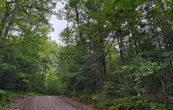 40ac STEELE RD, Harshaw, WI 54529