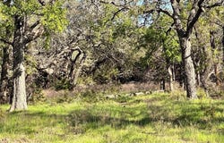 Lot 27 PR 1272, Carlton, TX 76436