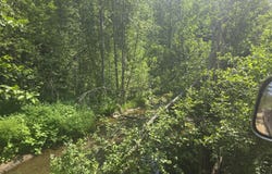 37XX RED MARBLE RD, VALLEY, WA 99181