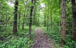 27015 50th ST, Bangor, MI 49013