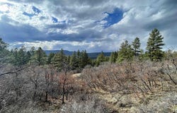 252 Starlight Place, Pagosa Springs, CO 81147