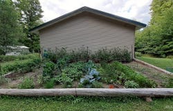 W17769 S Curtis Rd, Curtis, MI 49820