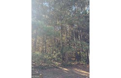 508 River Forest, Forsyth, GA 31029
