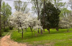 617 Alabama Street, Killen, AL 35645