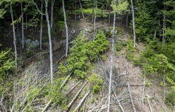 TBD Arbor Lane, Duxbury, VT 05660