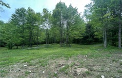 Gay Hill Road, Spencer, NY 14883