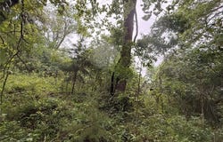 1170 Road, Earlsboro, OK 74840