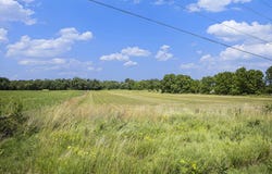 Vl Spring Arbor Road, Spring Arbor, MI 49283