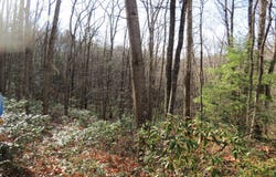 12 CEDARWOOD DRIVE ROAD, MATHIAS, WV 26812