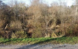 3079 Pershing Drive, Coloma, MI 49038