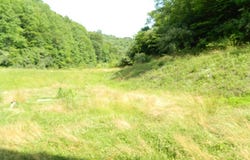 15694 State Highway 194 West, Pikeville, KY 41501