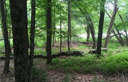 (17.-1-10.7&10.9)  Horseshoe Lake Rd, Bethel, NY 12720