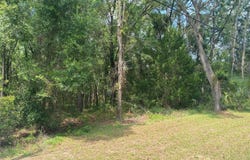 1191 E Bismark Street, Hernando, FL 34442