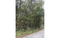 OAKLAND AVENUE lot: 0, WILSONVILLE, AL 35186