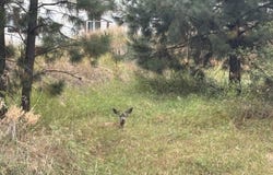 417 Antonette Circle lot: 9, Cascade, ID 83611