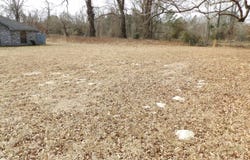 8779 TX HWY 11, Hughes Springs, TX 75656