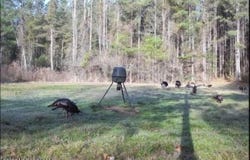 SE Union Road, Brookhaven, MS 39601