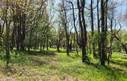 SNYDERSBURG, WESTMINSTER, MD 21157