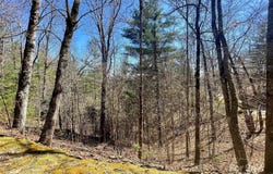 Saturn Way unit: 3, Bryson City, NC 28781