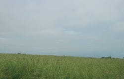 Lot 5 Valley Home Road, Dandridge, TN 37725