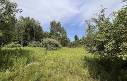 Lot 11 McDonald Drive, Mt Pleasant, MI 48858