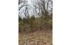 0 28.72 +/- AC, Horine Road, Festus, MO 63028