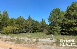 TBD-0 Hwy 71, Mira, LA 71440