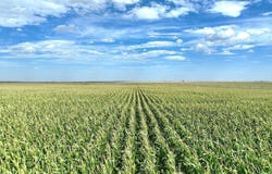 RD 15, Goodland, KS 67735